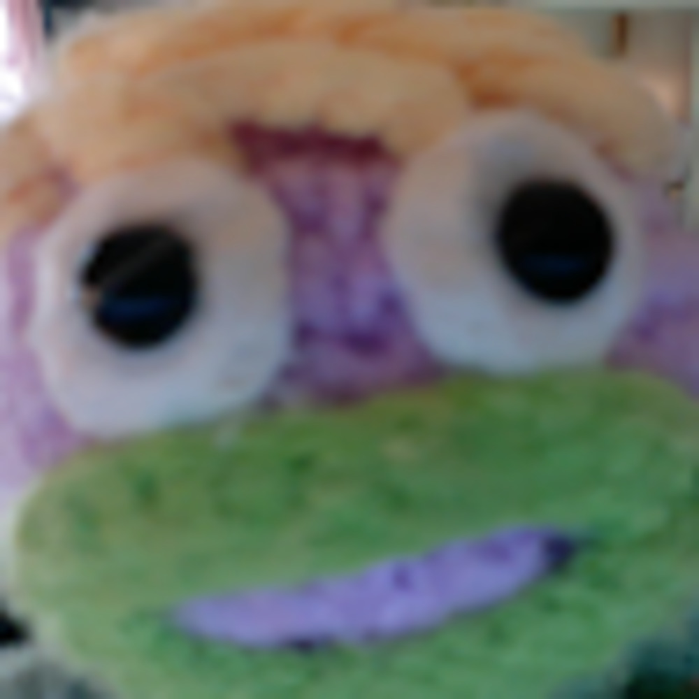 Meet your Posher, Paloma avigail